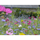 Blumenwiese "Schmetterlinge" 7m²